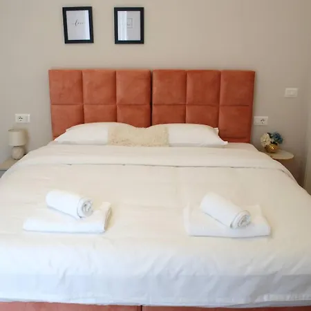 Lindi's 8/2 ティラナ