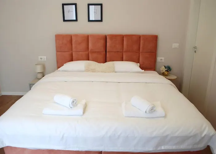 Lindi's 8/2 티라나